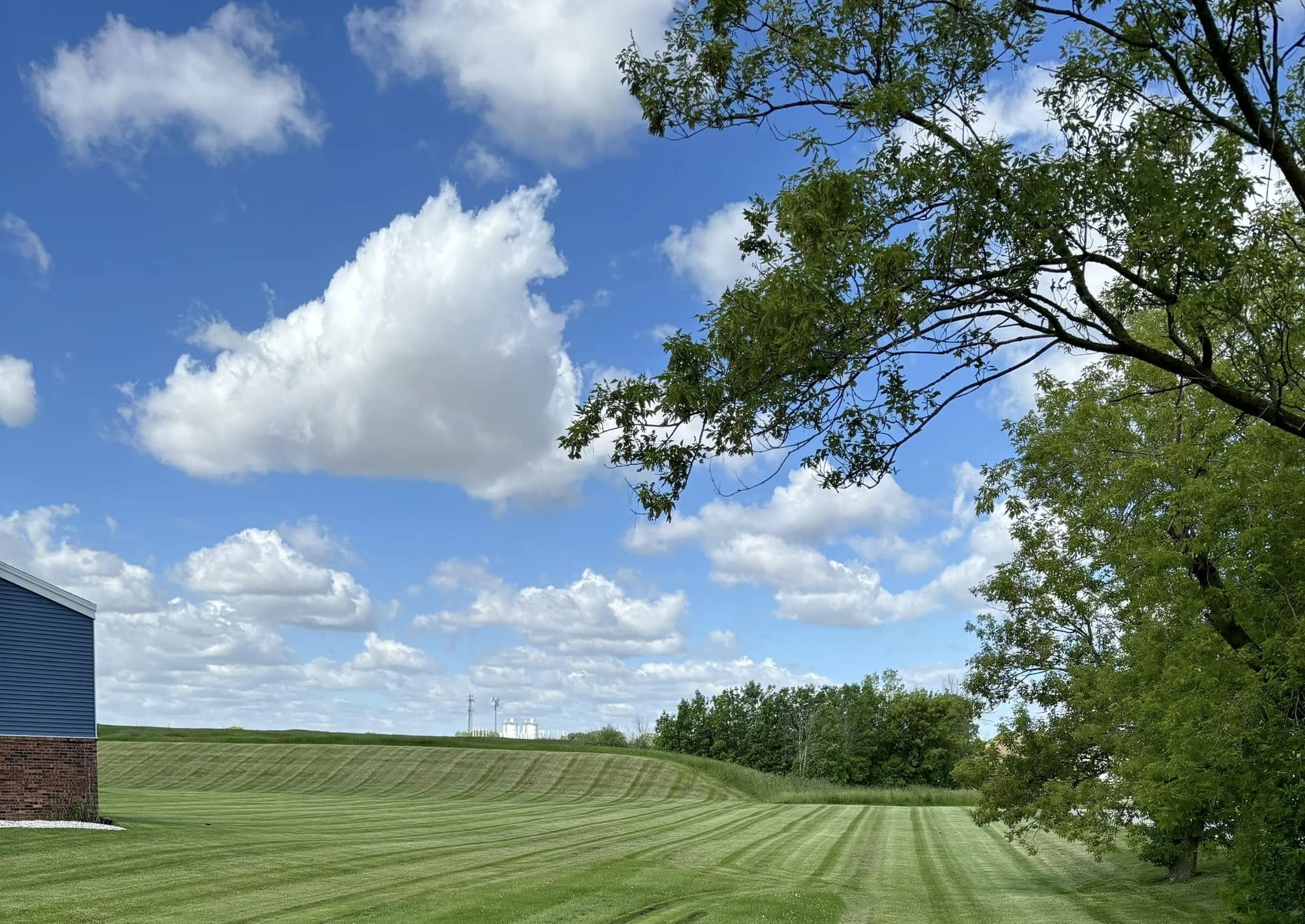 Lush green lawn from professional planting and overseeding in Sheboygan Falls WI