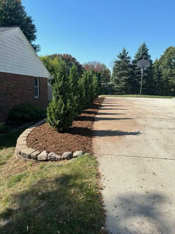 Newly planted trees and shrubs in a mulched landscape bed on a residential property in Sheboygan County, Wisconsin