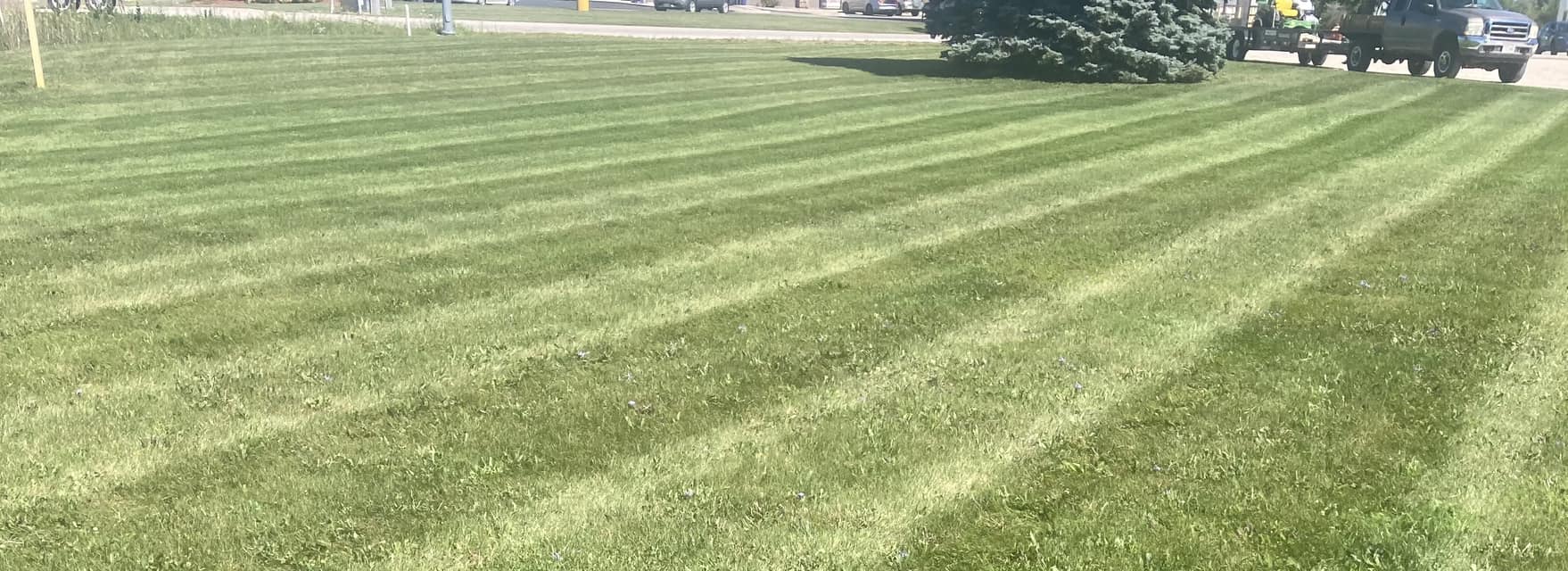 Freshly established healthy green lawn on a residential property in Sheboygan County, Wisconsin