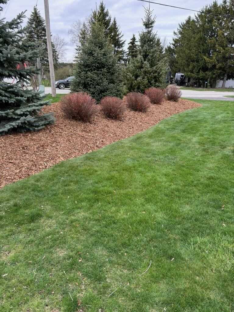 Freshly mulched landscape bed with a crisp edge on a residential property in Sheboygan County, Wisconsin
