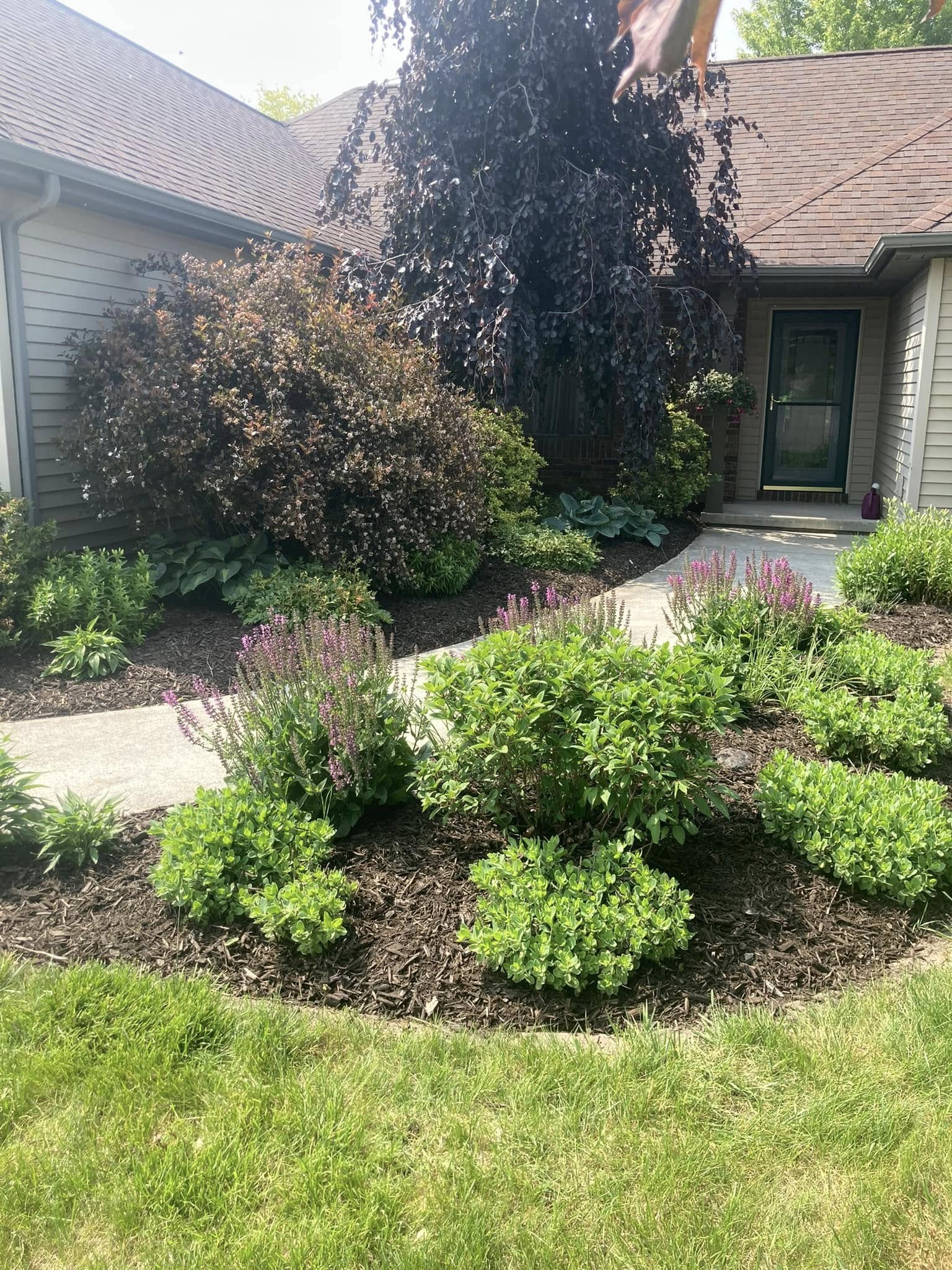 Crisp defined landscape bed edge separating mulch from lawn on a residential property in Sheboygan County, Wisconsin